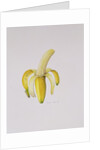 A Half-peeled Banana, 1997 by Alison Cooper