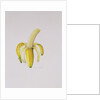 A Half-peeled Banana, 1997 by Alison Cooper
