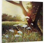 Golden Riverbank, 2014 by Helen White