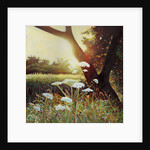 Golden Riverbank, 2014 by Helen White