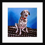 Spot on Spot, 2011 by Helen White