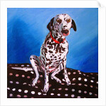 Spot on Spot, 2011 by Helen White