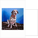 Spot on Spot, 2011 by Helen White