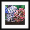 Hydrangeas, 2010 by Helen White
