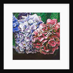 Hydrangeas, 2010 by Helen White