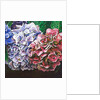 Hydrangeas, 2010 by Helen White