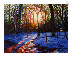 Sunset on Snow, 2010 by Helen White