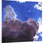 Relentless Light, 2012 by Helen White