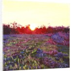 Farley Sunset, 2012 by Helen White