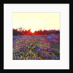 Farley Sunset, 2012 by Helen White