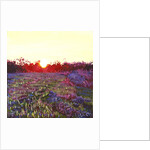 Farley Sunset, 2012 by Helen White