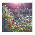 Incandescence, 2013 by Helen White