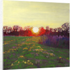 Path of Light, 2013 by Helen White