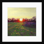 Path of Light, 2013 by Helen White