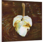 Grace, 2014 by Helen White