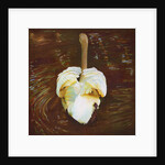 Grace, 2014 by Helen White