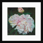 First Blooms, 2012 by Helen White