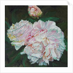 First Blooms, 2012 by Helen White