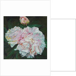 First Blooms, 2012 by Helen White