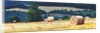 Haybales on Hillside, 2012, by Helen White