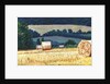 Haybales on Hillside, 2012, by Helen White