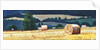 Haybales on Hillside, 2012, by Helen White