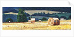 Haybales on Hillside, 2012, by Helen White