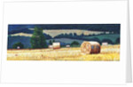 Haybales on Hillside, 2012, by Helen White