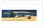 Haybales on Hillside, 2012, by Helen White