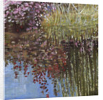 Giverny I by Helen White