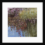 Giverny I by Helen White