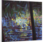 Giverny V, 2014 by Helen White