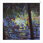 Giverny V, 2014 by Helen White