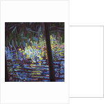 Giverny V, 2014 by Helen White