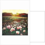 Love Swept Lands, 2015 by Helen White