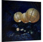 Night garden I by Helen White