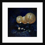 Night garden I by Helen White