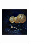 Night garden I by Helen White