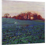 Sun greets the earth by Helen White