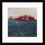 Sun greets the earth by Helen White