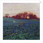 Sun greets the earth by Helen White