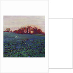 Sun greets the earth by Helen White