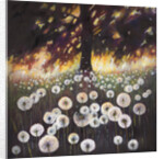 Field of Dreams, 2015, by Helen White