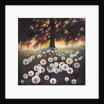 Field of Dreams, 2015, by Helen White