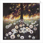 Field of Dreams, 2015, by Helen White