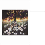 Field of Dreams, 2015, by Helen White