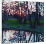 Last Glow on the Meadow, 2009 by Helen White