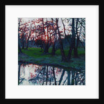 Last Glow on the Meadow, 2009 by Helen White