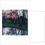 Last Glow on the Meadow, 2009 by Helen White