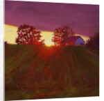 Between Trees, 2013 by Helen White